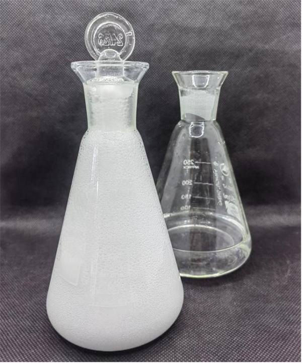 1769066097979840.jpg 图片2.jpg