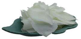 1769755130251202.jpg 图片6.jpg