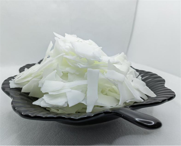 二十二烷基三甲基硫酸甲酯铵/Behentrimonium Methosulfate/BTMS 50(M01-01)